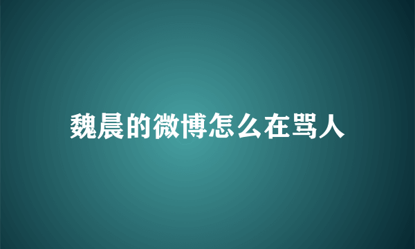 魏晨的微博怎么在骂人