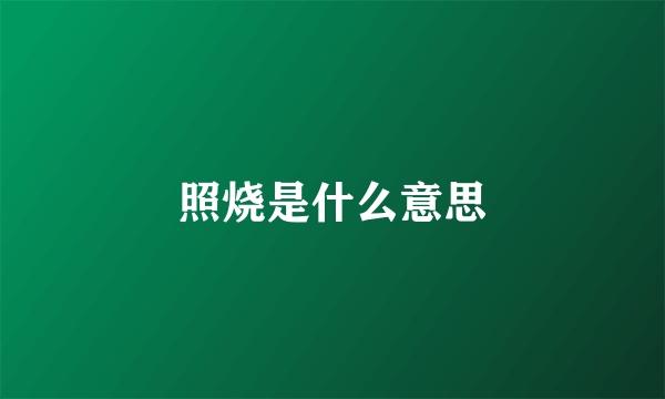 照烧是什么意思