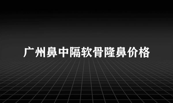 广州鼻中隔软骨隆鼻价格