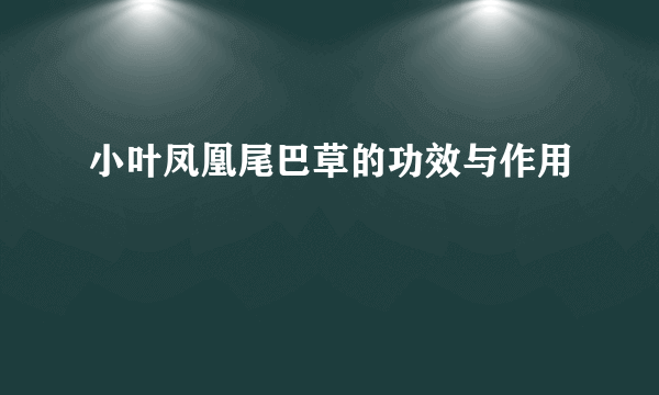 小叶凤凰尾巴草的功效与作用