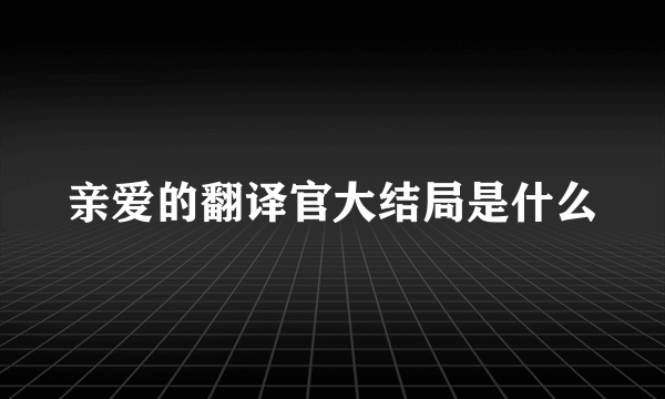 亲爱的翻译官大结局是什么