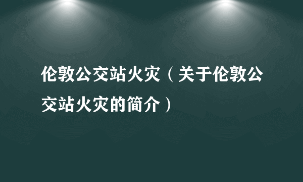 伦敦公交站火灾（关于伦敦公交站火灾的简介）