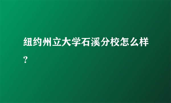 纽约州立大学石溪分校怎么样？