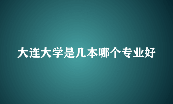 大连大学是几本哪个专业好