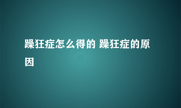 躁狂症怎么得的 躁狂症的原因