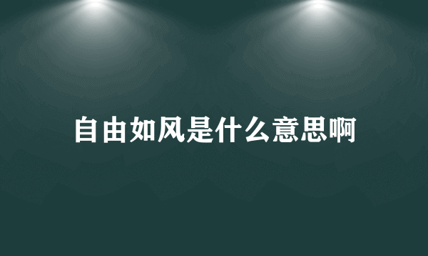 自由如风是什么意思啊