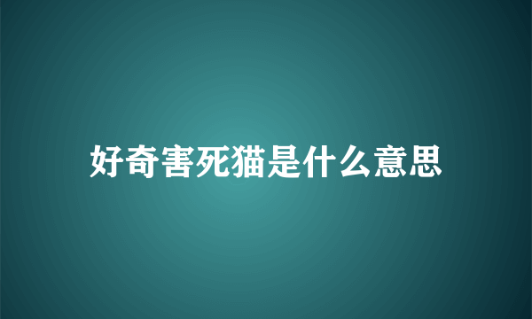 好奇害死猫是什么意思