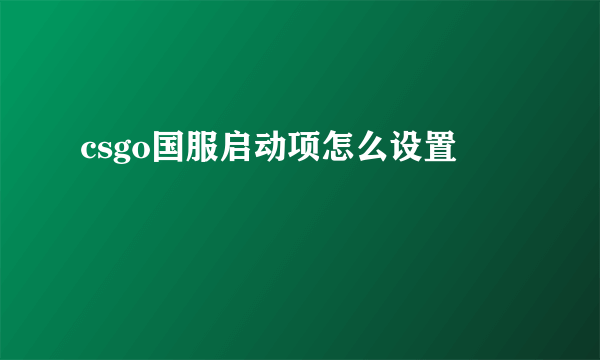 csgo国服启动项怎么设置