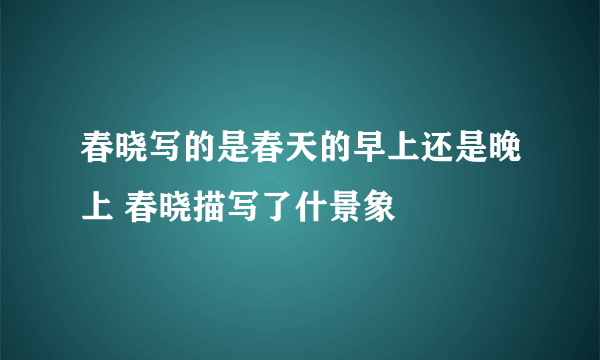 春晓写的是春天的早上还是晚上 春晓描写了什景象