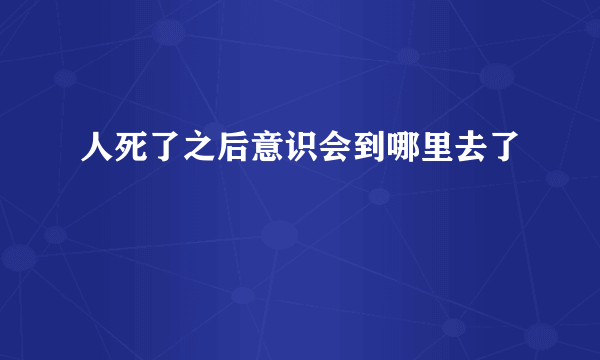 人死了之后意识会到哪里去了