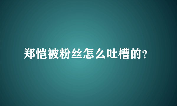 郑恺被粉丝怎么吐槽的？