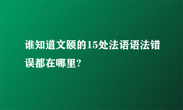 谁知道文颐的15处法语语法错误都在哪里?