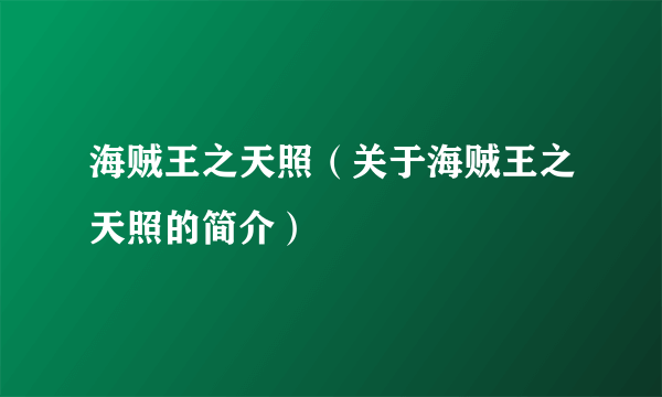 海贼王之天照（关于海贼王之天照的简介）