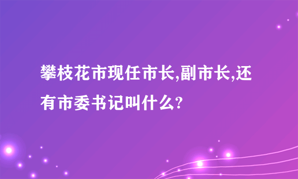 攀枝花市现任市长,副市长,还有市委书记叫什么?