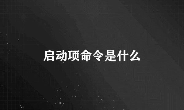 启动项命令是什么