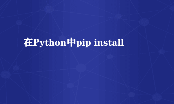 在Python中pip install