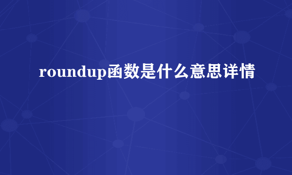 roundup函数是什么意思详情