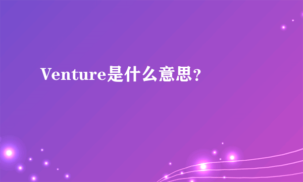 Venture是什么意思？