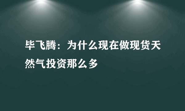 毕飞腾：为什么现在做现货天然气投资那么多