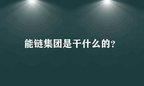 能链集团是干什么的？