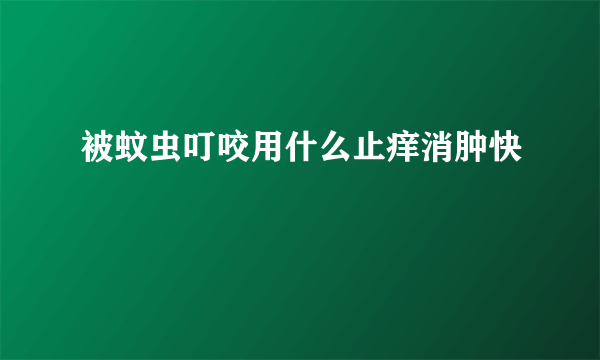 被蚊虫叮咬用什么止痒消肿快