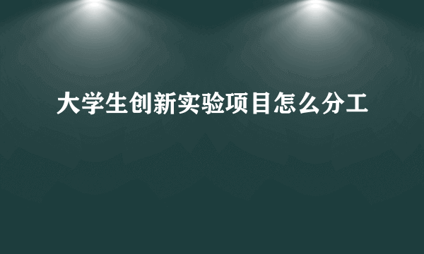 大学生创新实验项目怎么分工