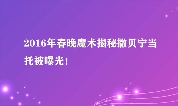 2016年春晚魔术揭秘撒贝宁当托被曝光！