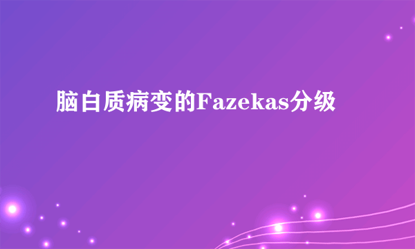 脑白质病变的Fazekas分级