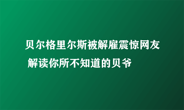 贝尔格里尔斯被解雇震惊网友 解读你所不知道的贝爷