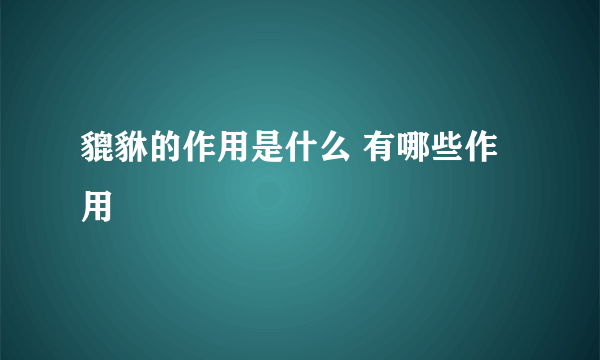 貔貅的作用是什么 有哪些作用