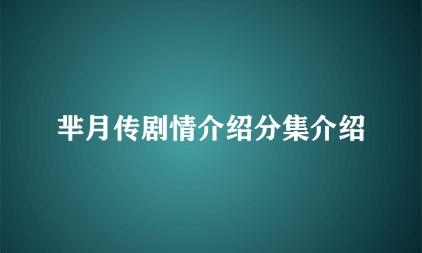 芈月传剧情介绍分集介绍