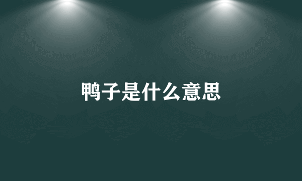 鸭子是什么意思