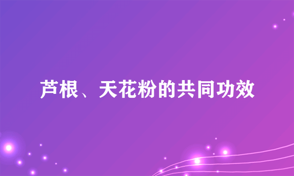 芦根、天花粉的共同功效