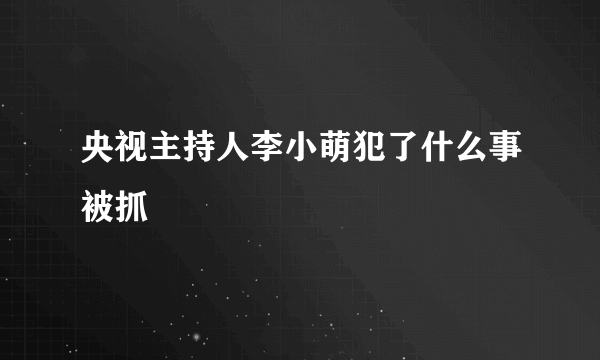 央视主持人李小萌犯了什么事被抓