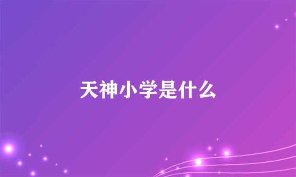 天神小学是什么