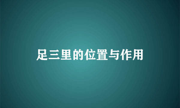 足三里的位置与作用