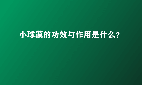 小球藻的功效与作用是什么？