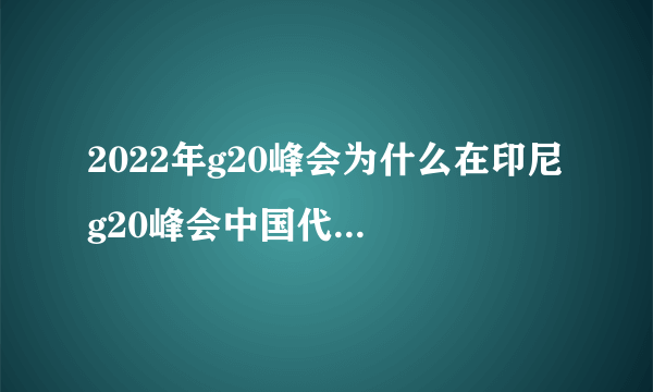 2022年g20峰会为什么在印尼 g20峰会中国代表团名单