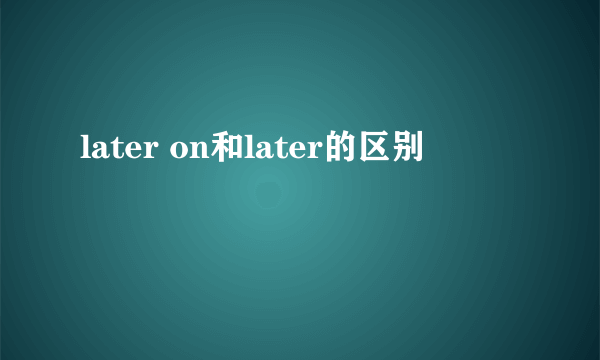 later on和later的区别