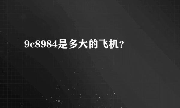 9c8984是多大的飞机？