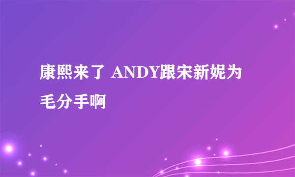 康熙来了 ANDY跟宋新妮为毛分手啊