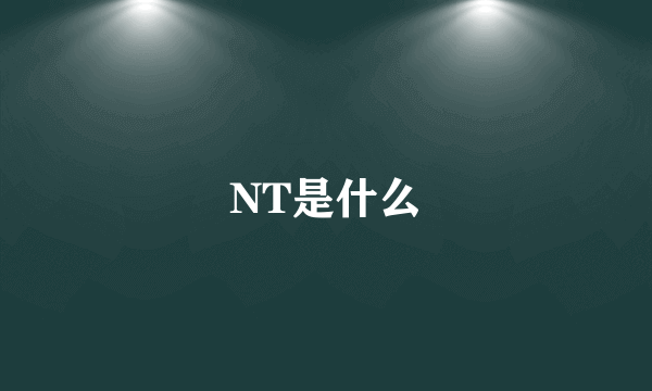 NT是什么