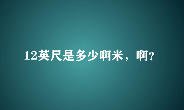 12英尺是多少啊米，啊？