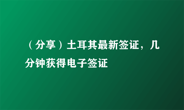 （分享）土耳其最新签证，几分钟获得电子签证