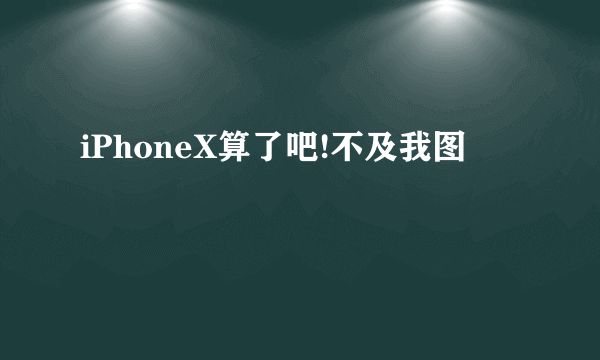 iPhoneX算了吧!不及我图