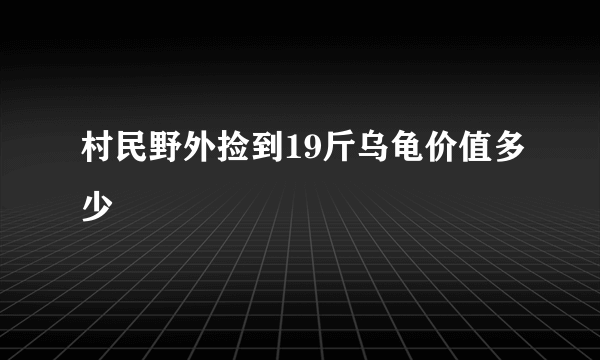 村民野外捡到19斤乌龟价值多少