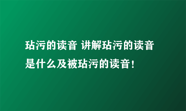 玷污的读音 讲解玷污的读音是什么及被玷污的读音！