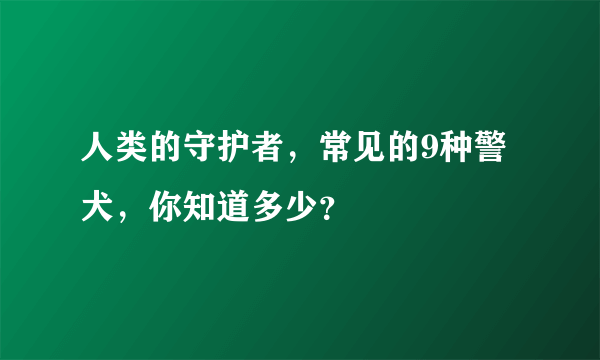 人类的守护者，常见的9种警犬，你知道多少？