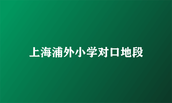 上海浦外小学对口地段