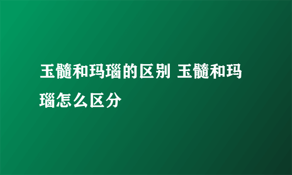 玉髓和玛瑙的区别 玉髓和玛瑙怎么区分